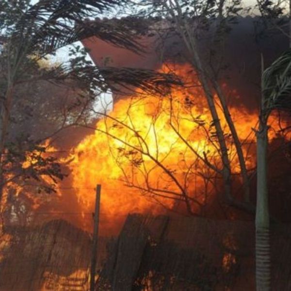 ���� ��������: ���� ������� "��������" ��� ����� �������