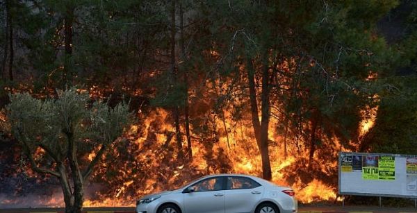 �������� ����� 8 ����� ����� ������ ��������