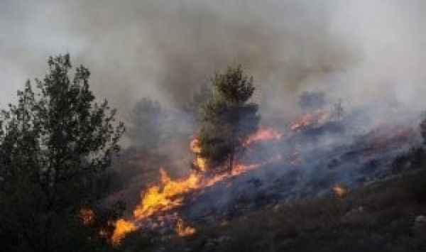 ��� ��� ���� ������޿