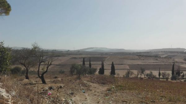 ������ ���� �� ����� ���� ��� ��� ����� 