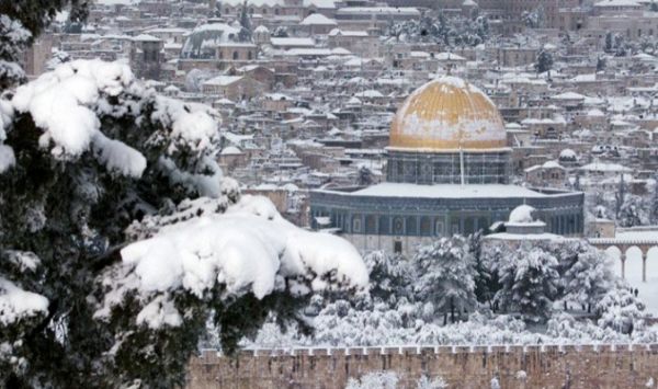 ����� ����� ��� ������ ����������� �� ������