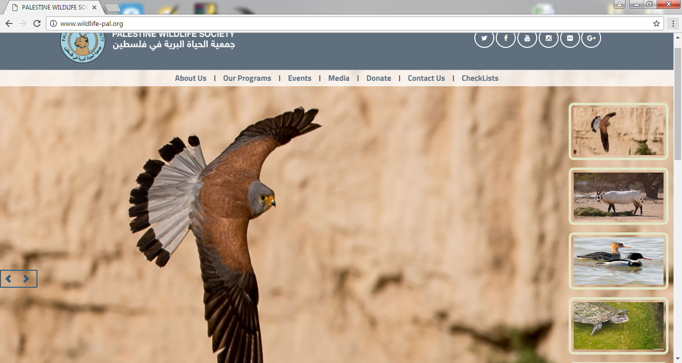 ������ ������ ������ ����� ������ ������� ����������� ������� 