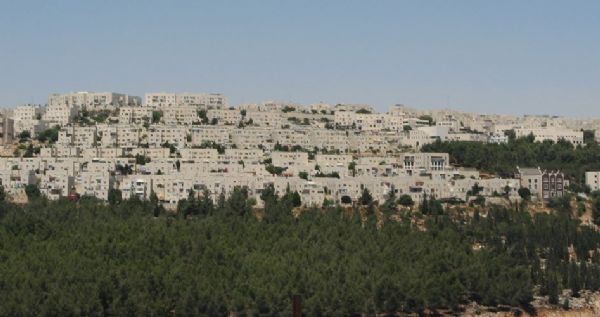 �������� ���� ������ ������� "���� �����"