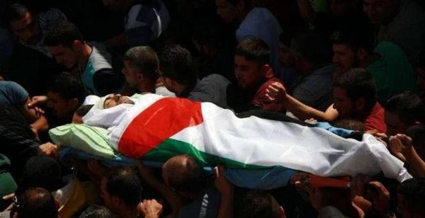 �������� ����� ������ ������ �� ��� ���� ������ �����