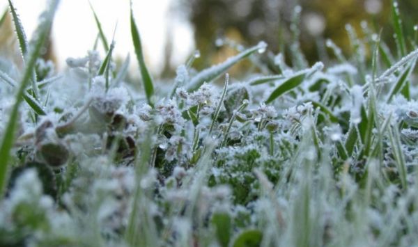 ������ �� ���� ������ ������� ���� �������� �� ��� ������