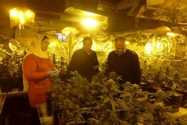 ������ ���� 264 ���� ��������� ����� ������ ���� ������ �����