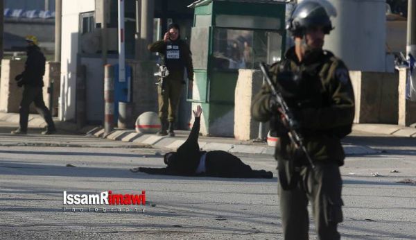 �������� ���� ������ �������� ������� ����� ����� 