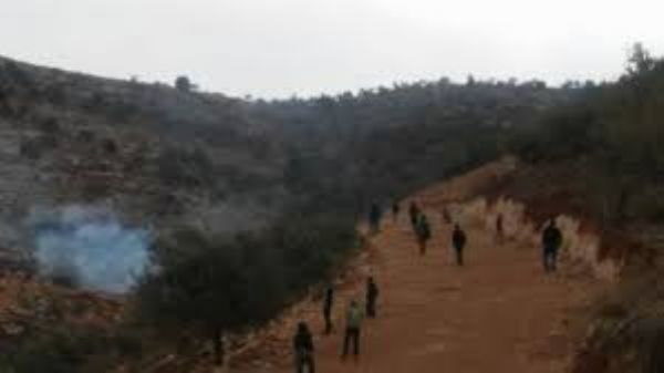  ������ ������� �� ���� �������� �� ��� �����