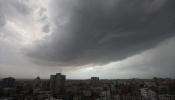 ���� ������ ������ ������ ���� ������ ������ɿ