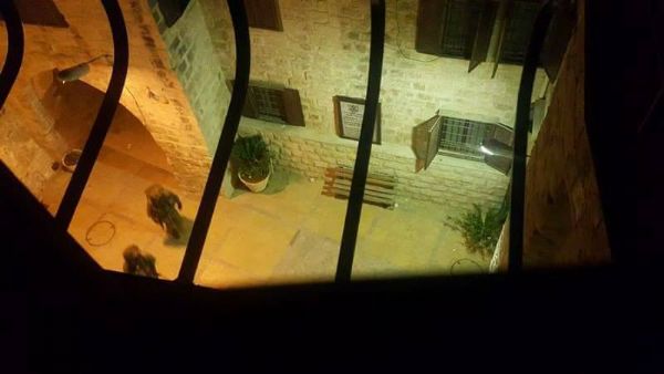 �������� ����� ������ ������� �� ����� ��������� �� �����