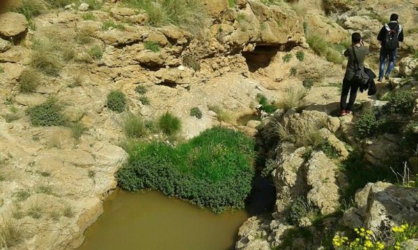 ���� 1936� ����� ������