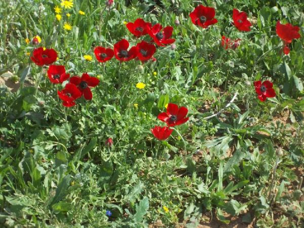 ����� ������� ���� ������ ���� �� ������� ���� ����� �� ������� 