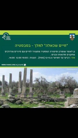 ����� ��������� ������ ������ ���� ����� �������� �� ������ ������ 