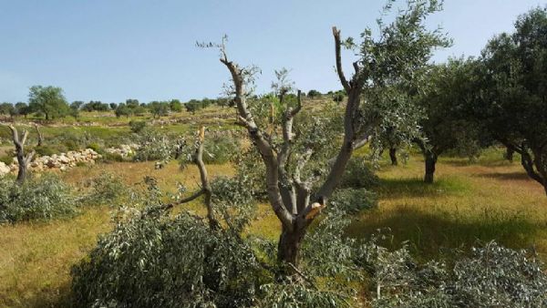 ���.. �������� ������ ����� ����� ��� ���� �����