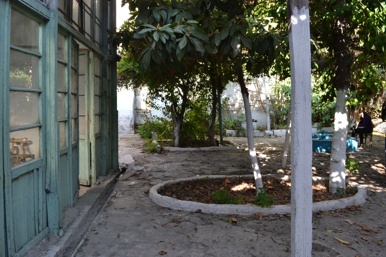 ���� ����� ���� ���� �������