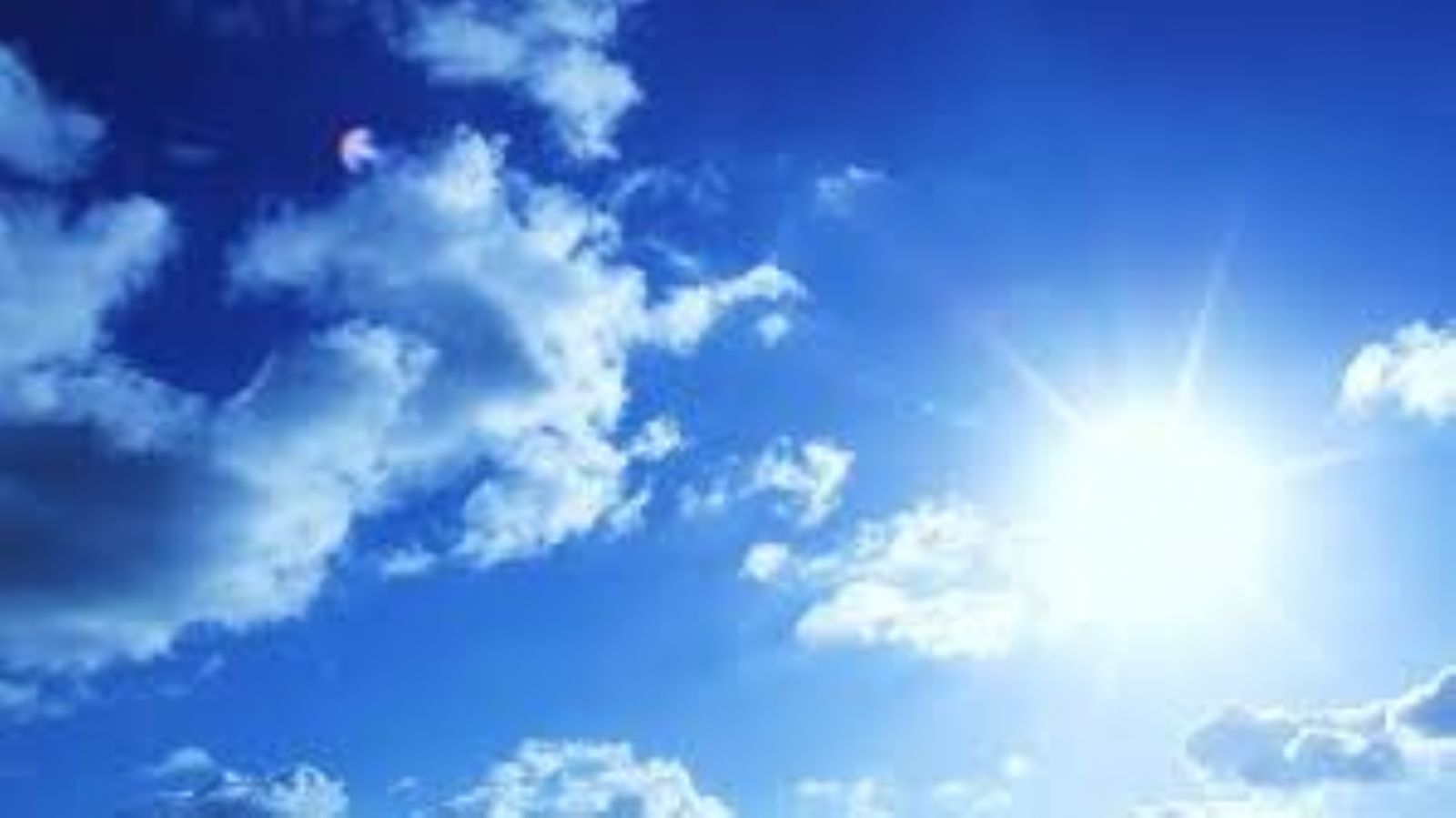 �����: ����� ���� ����� ������� ����� ��� ����� �������