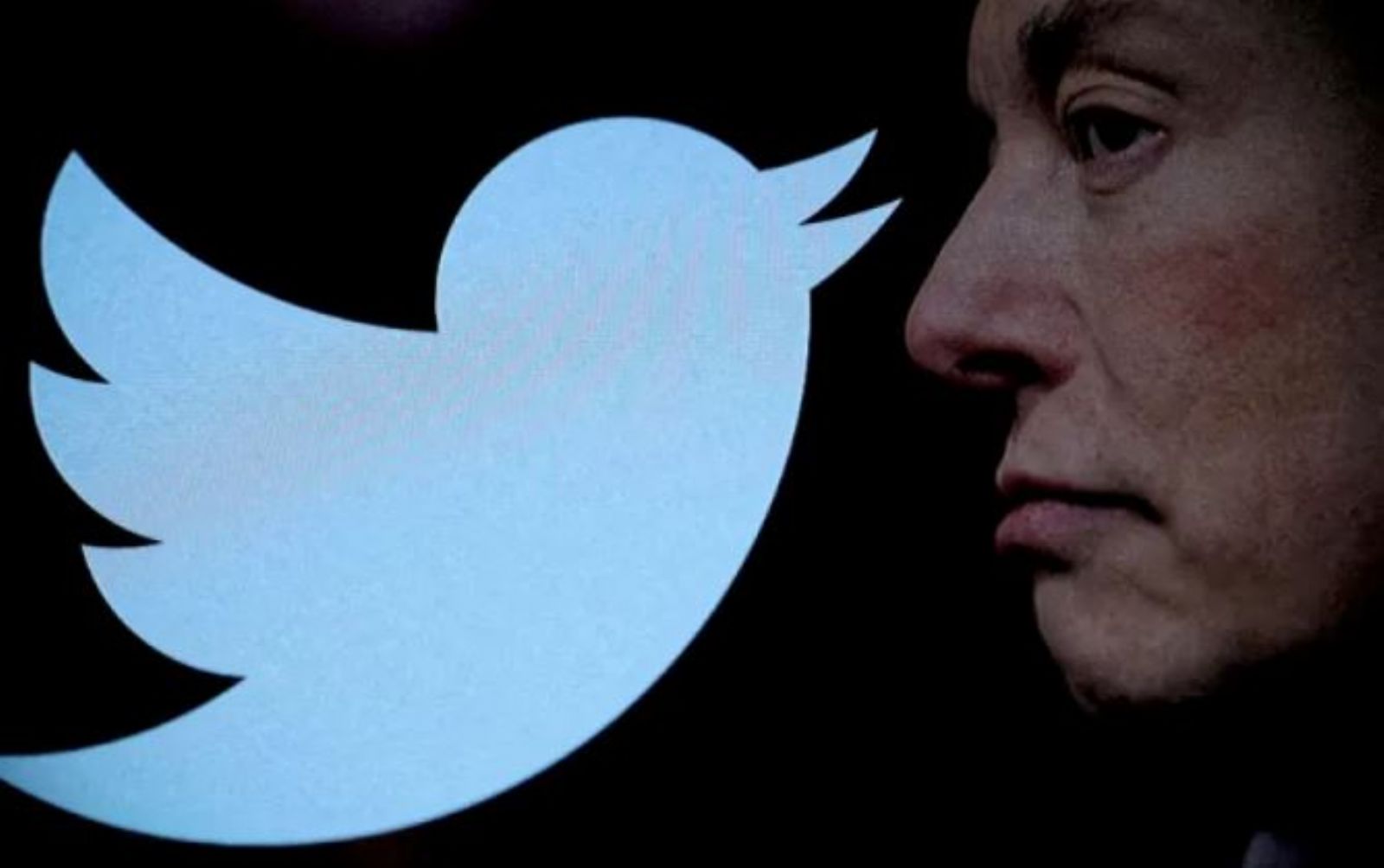 إيلون ماسك يعلن تغيير شعار "تويتر"