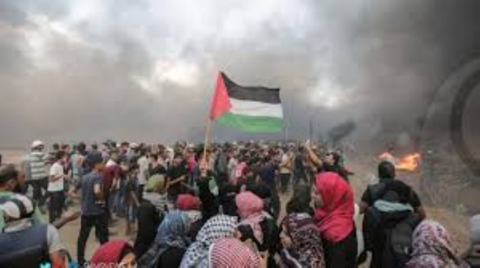 ����� ������� ���� �������� ������� ������ ��� ���