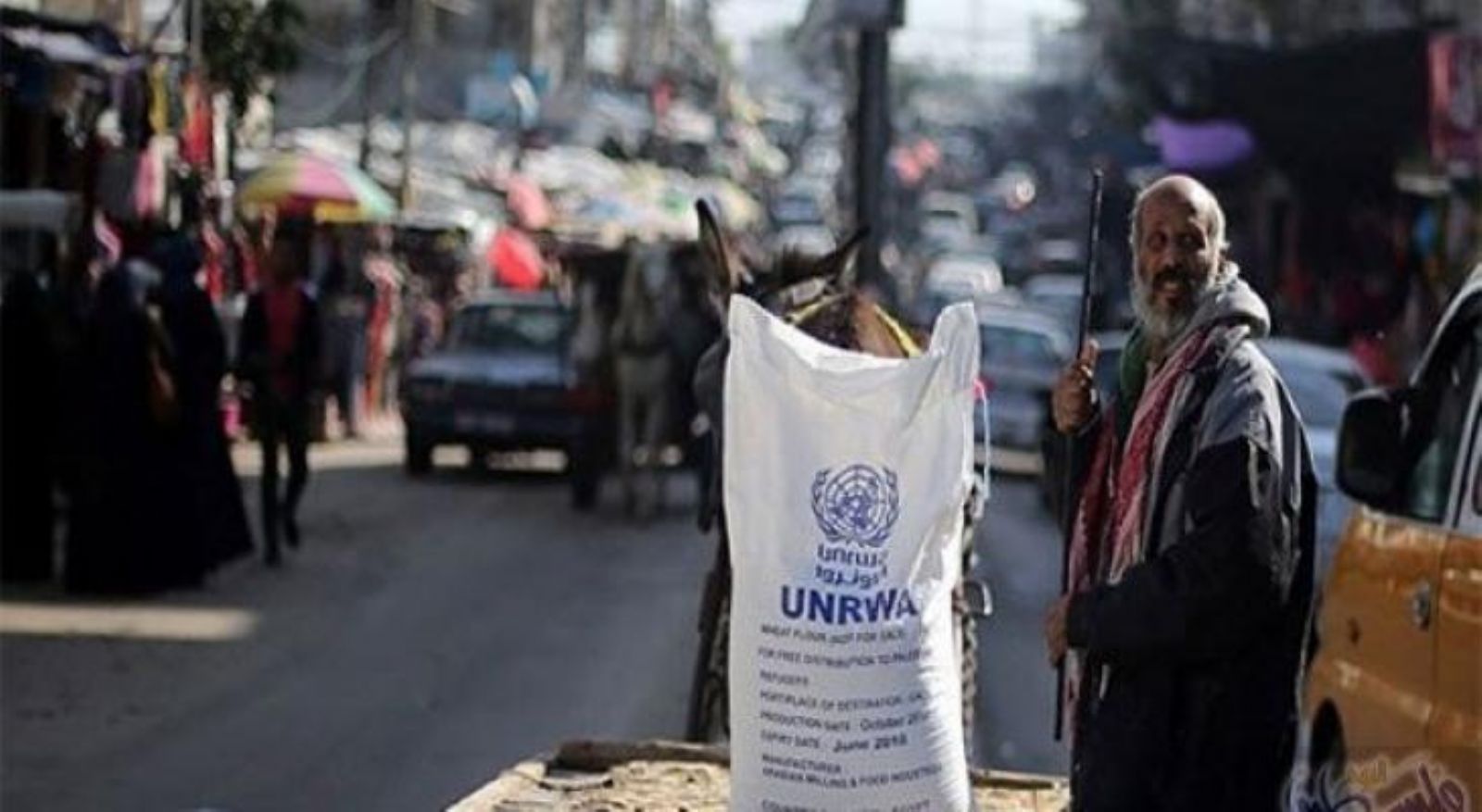 ������ ������� ����� �� ���� ��� 37 ����� �� �����