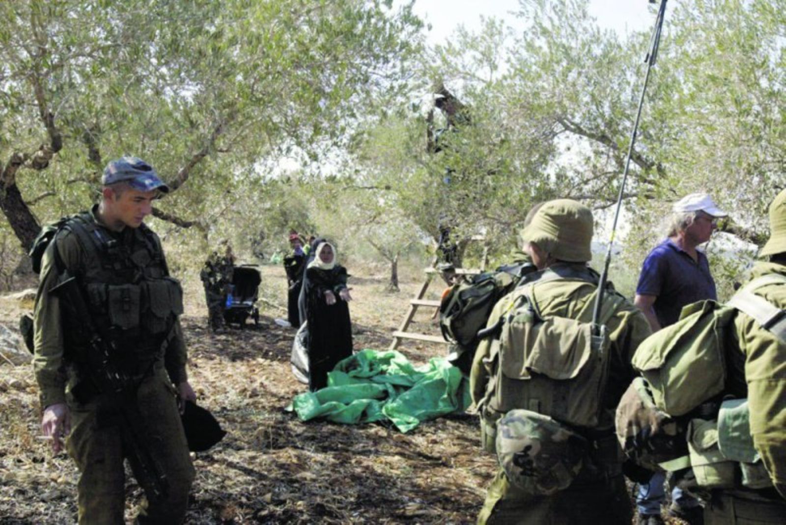 ��������� ���� ������ ������ ����� �����������