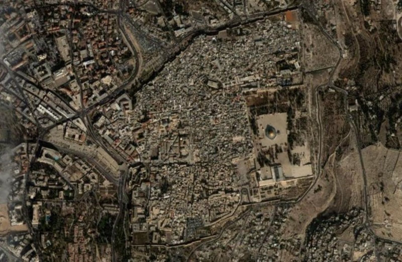 ������� ���� ���� "�����" �����: ����� ���� ���.. �����ݿ