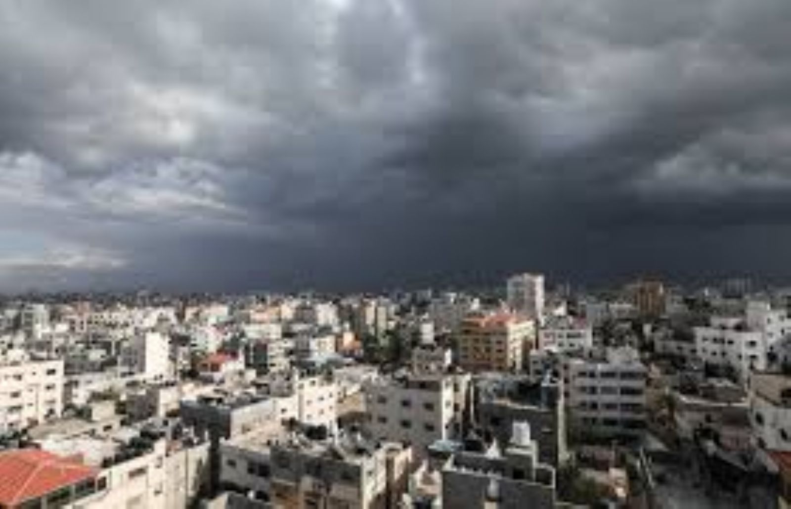 �����: ����� ����� ������� ��� ����� �������