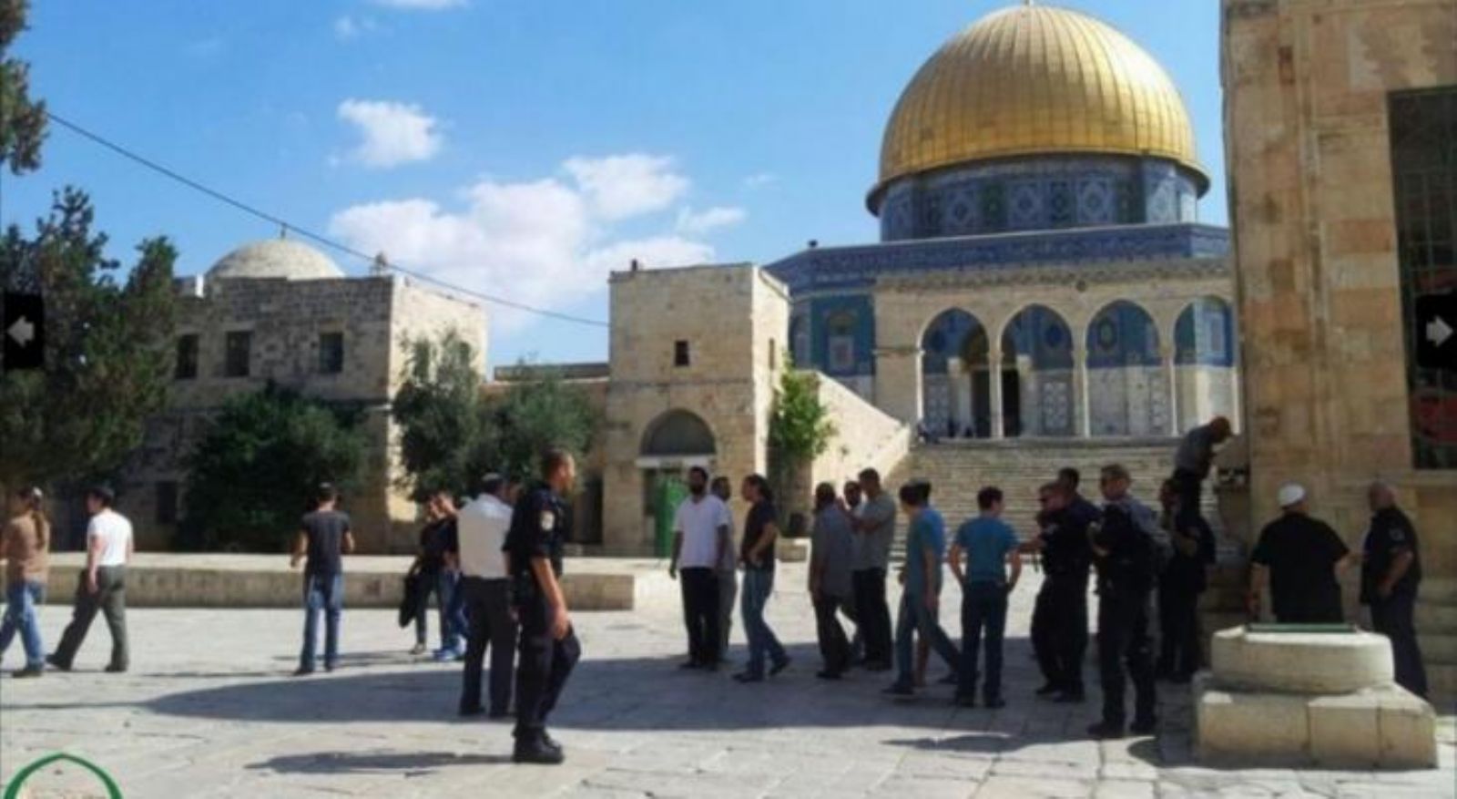 ����� ���������� ������� ������