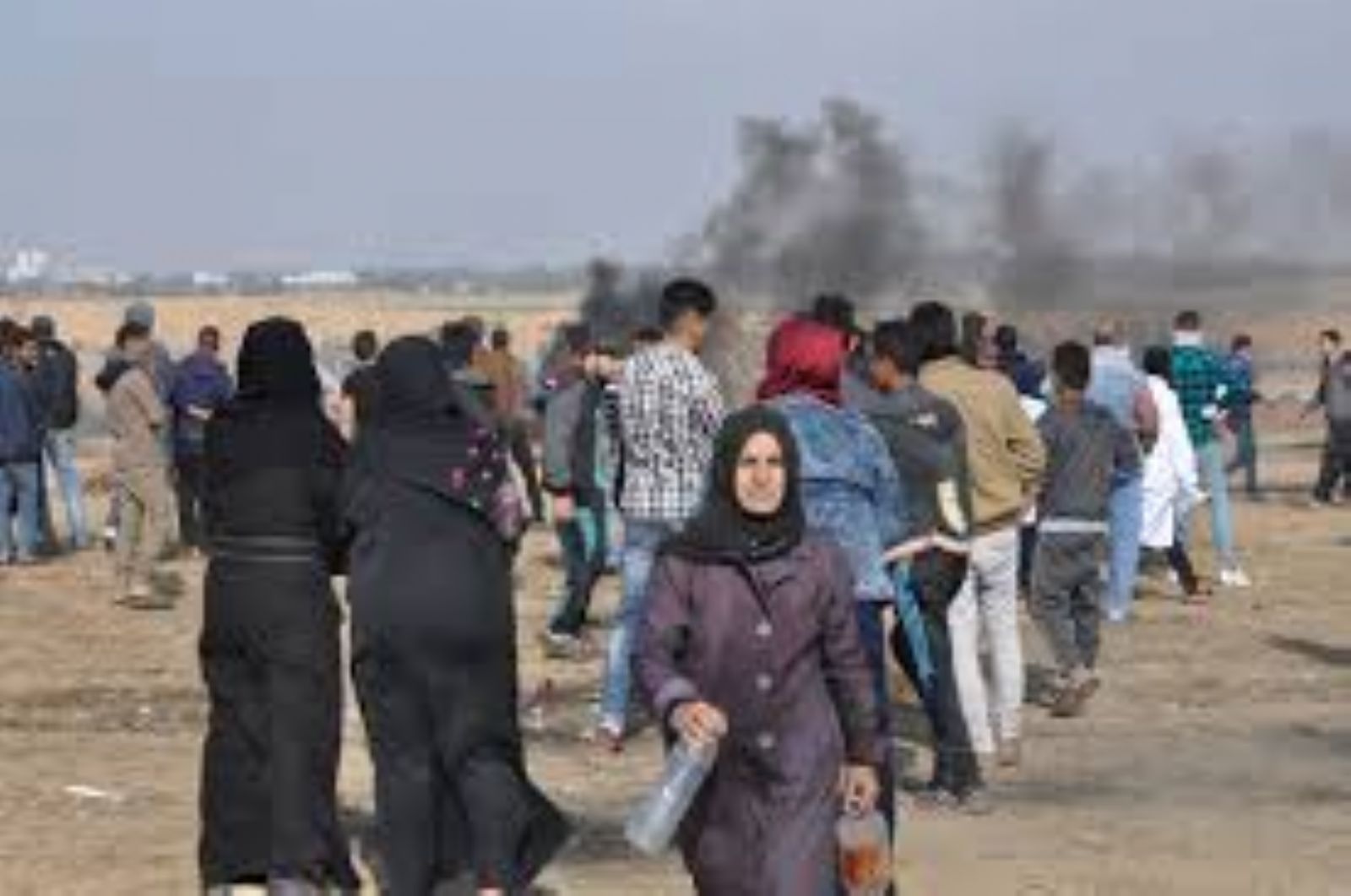  /  2019:  (3)    (317)   ͡