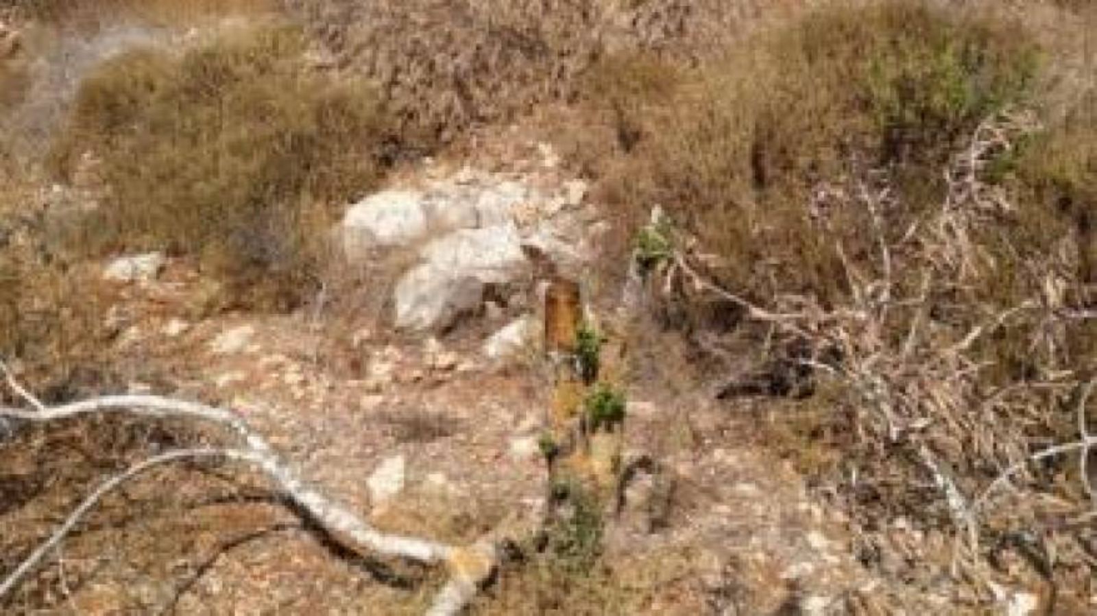 �������� ������ ��� 80 ���� ����� �� ���� ����� ��� �����