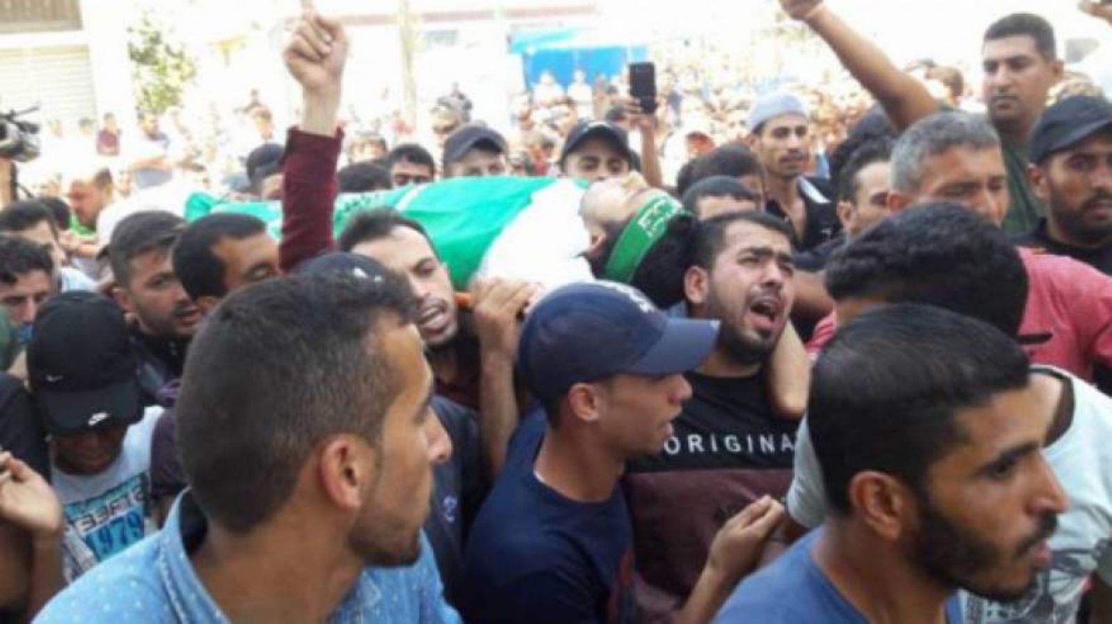 ����� ����� ������ ���� ���� ����� ����