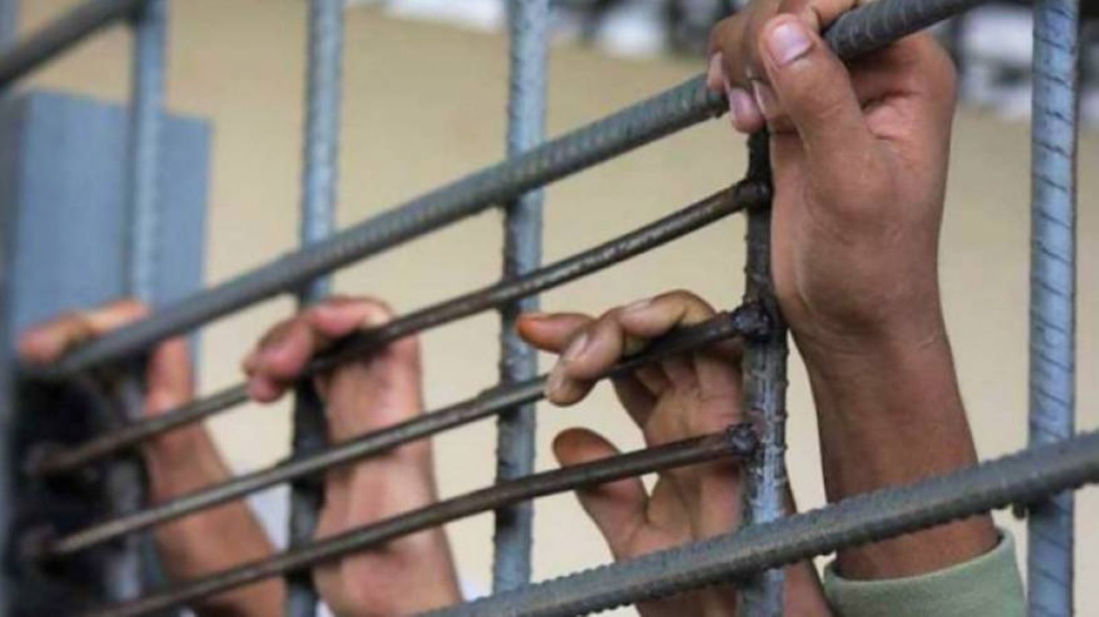 8 ���� ������� ������� �� ������ ���� �������� �������