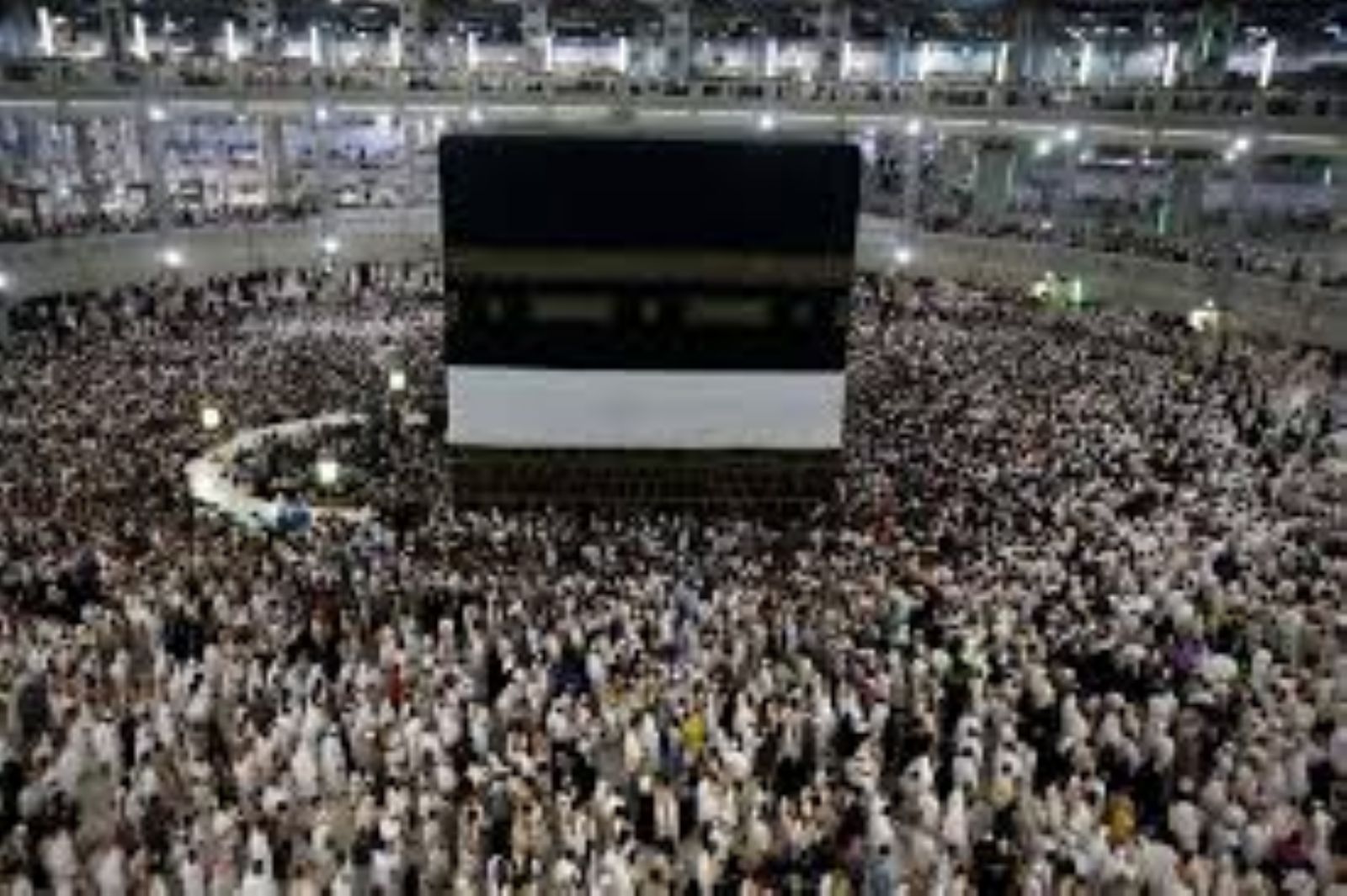 �� ���� �������� ������ ���� ��� ���� �������� ��� ������� ���������