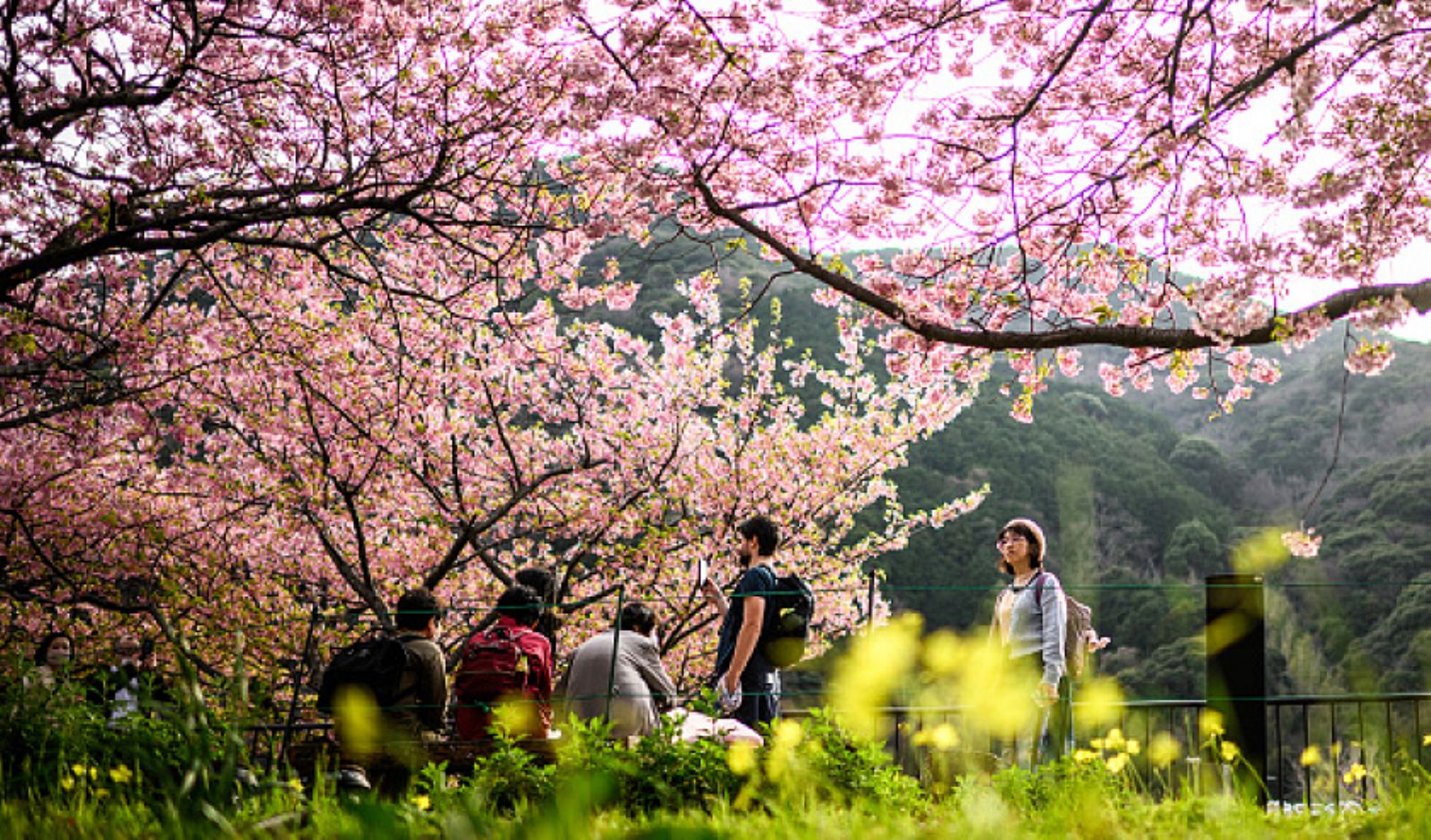 ���� �����: ������ ���� ������ ������ ��� ������