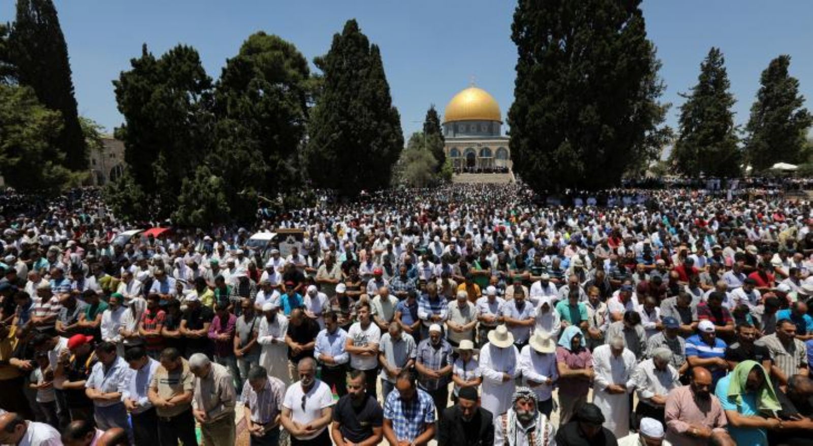 40 ��� ���� ���� ������ �� ������