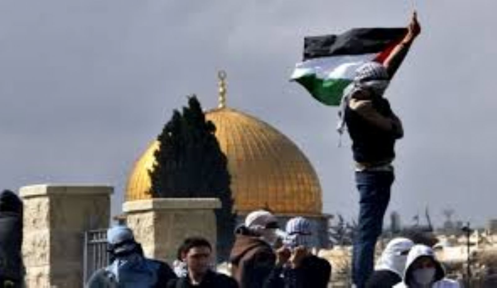 "����� ������".. ������ ��������� ������ ������� ������