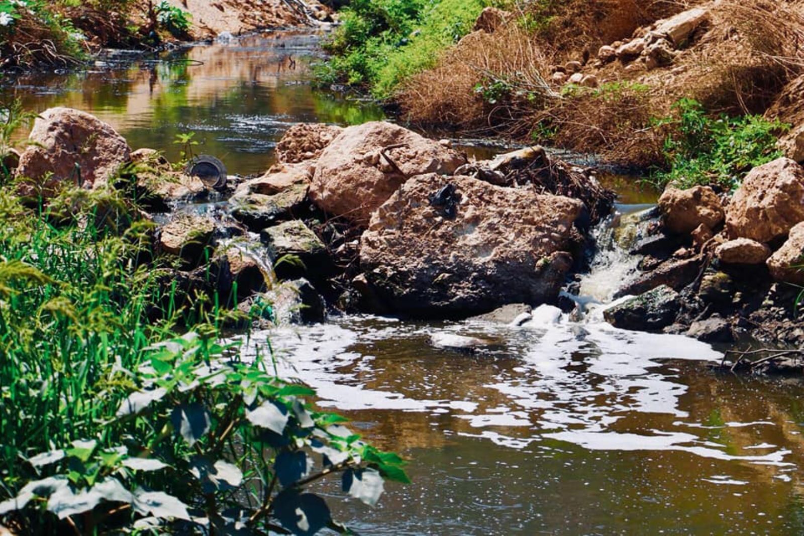 ����� �������� ��������� ����� ���� ������ �� �����