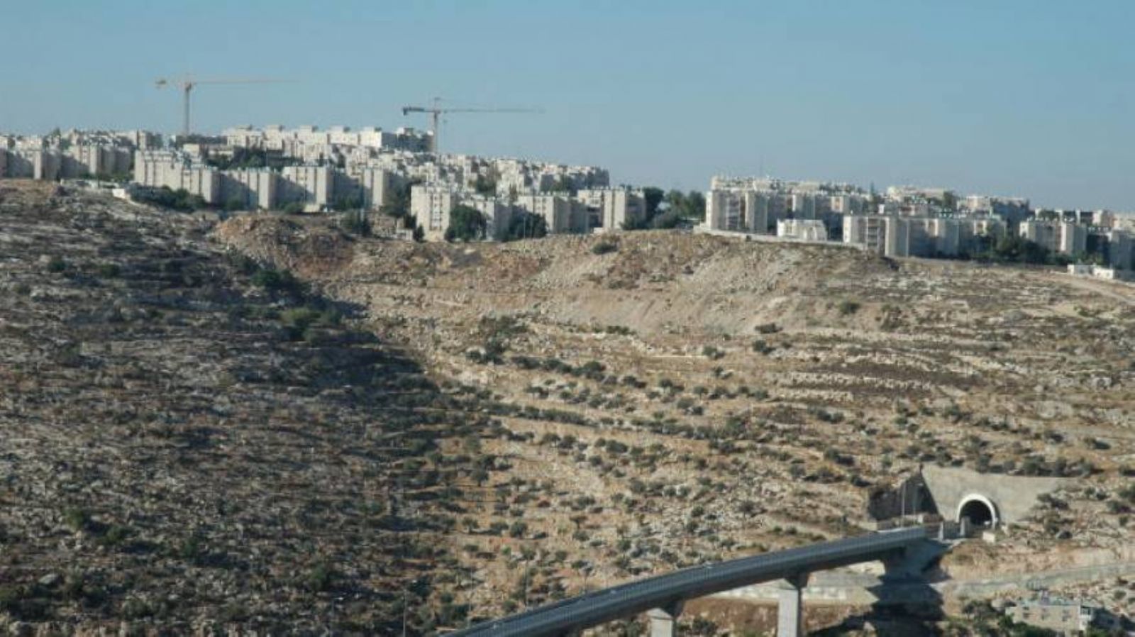 �������� ������ ��� ����� ���� ��� ���