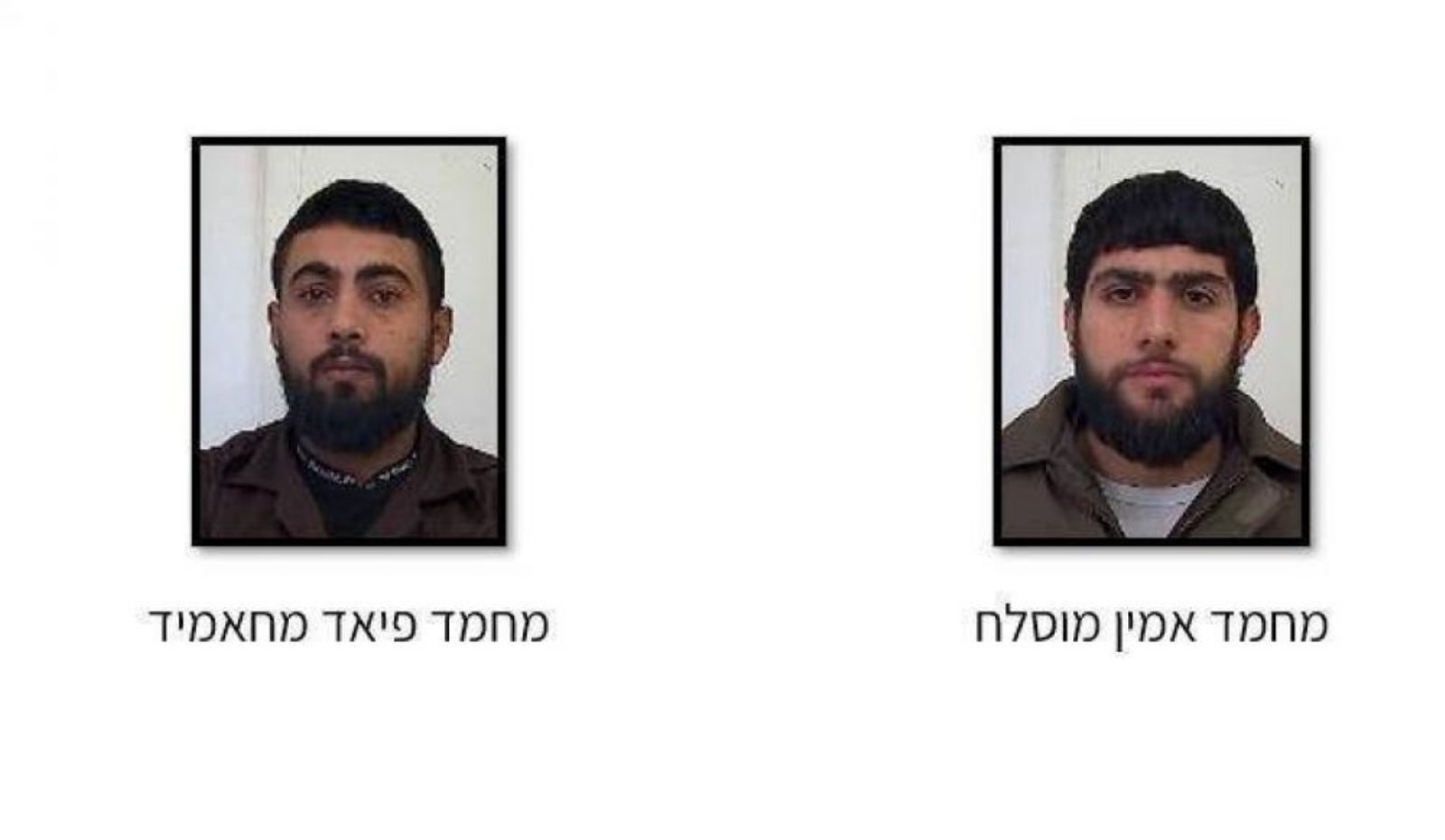 معاريف: الشاباك اعتقل شابين خططا لعملية تفجيرية بحافلات جنود إسرائيليين