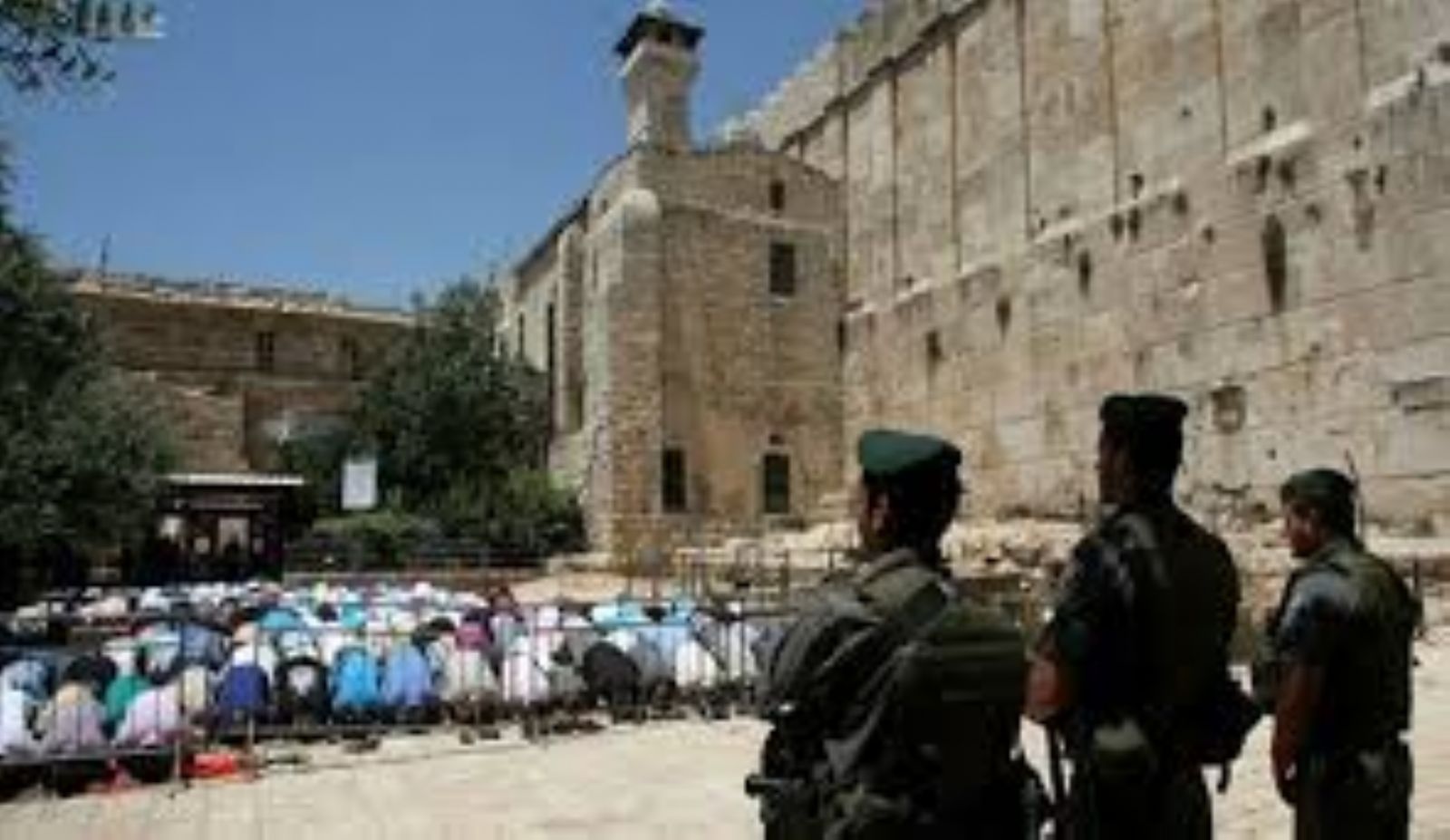 ������ ���������� ���� ����� ������� ������ ����� �� �������