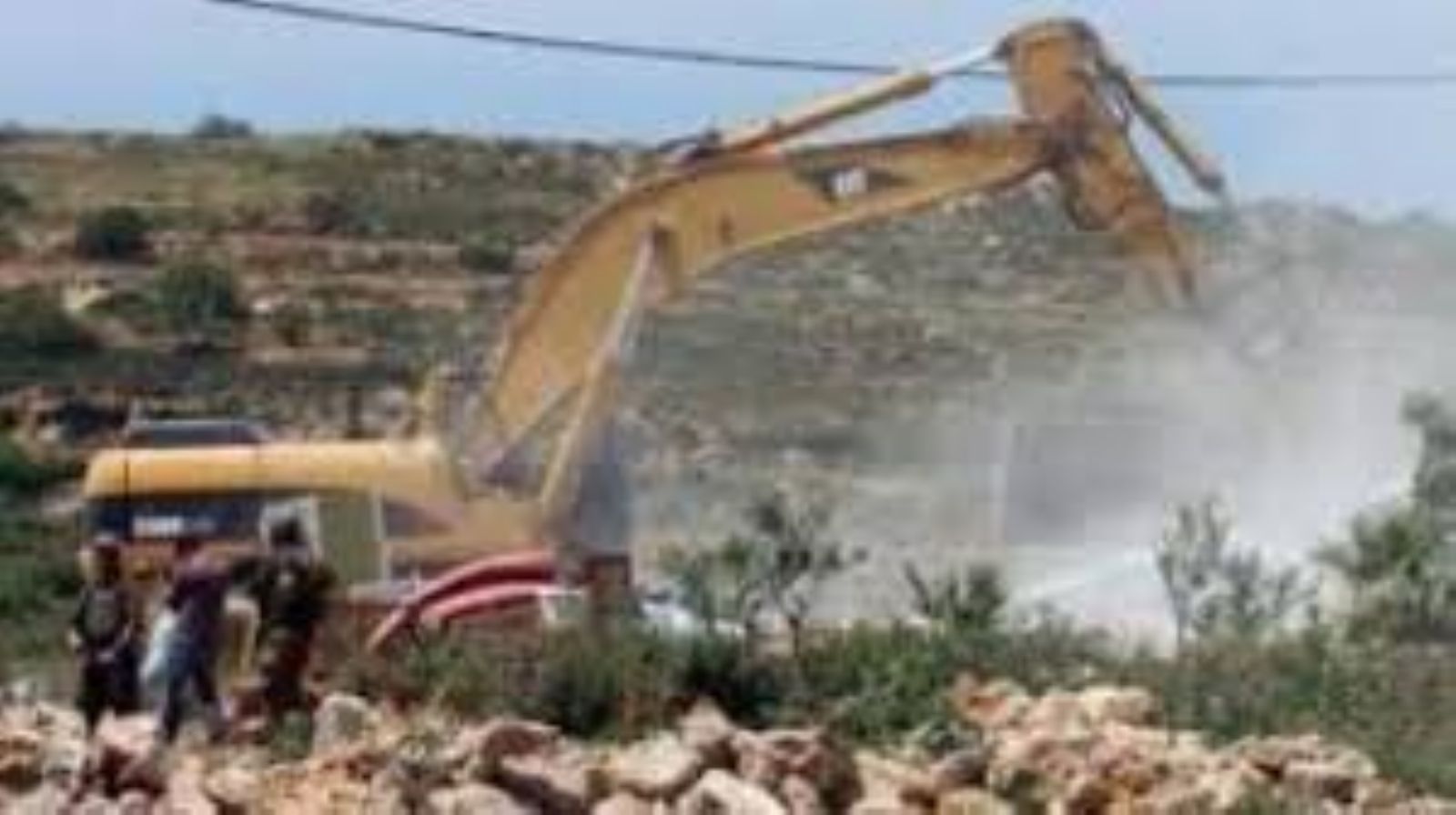 �������� ���� ���� �������� ����������� ������� ������