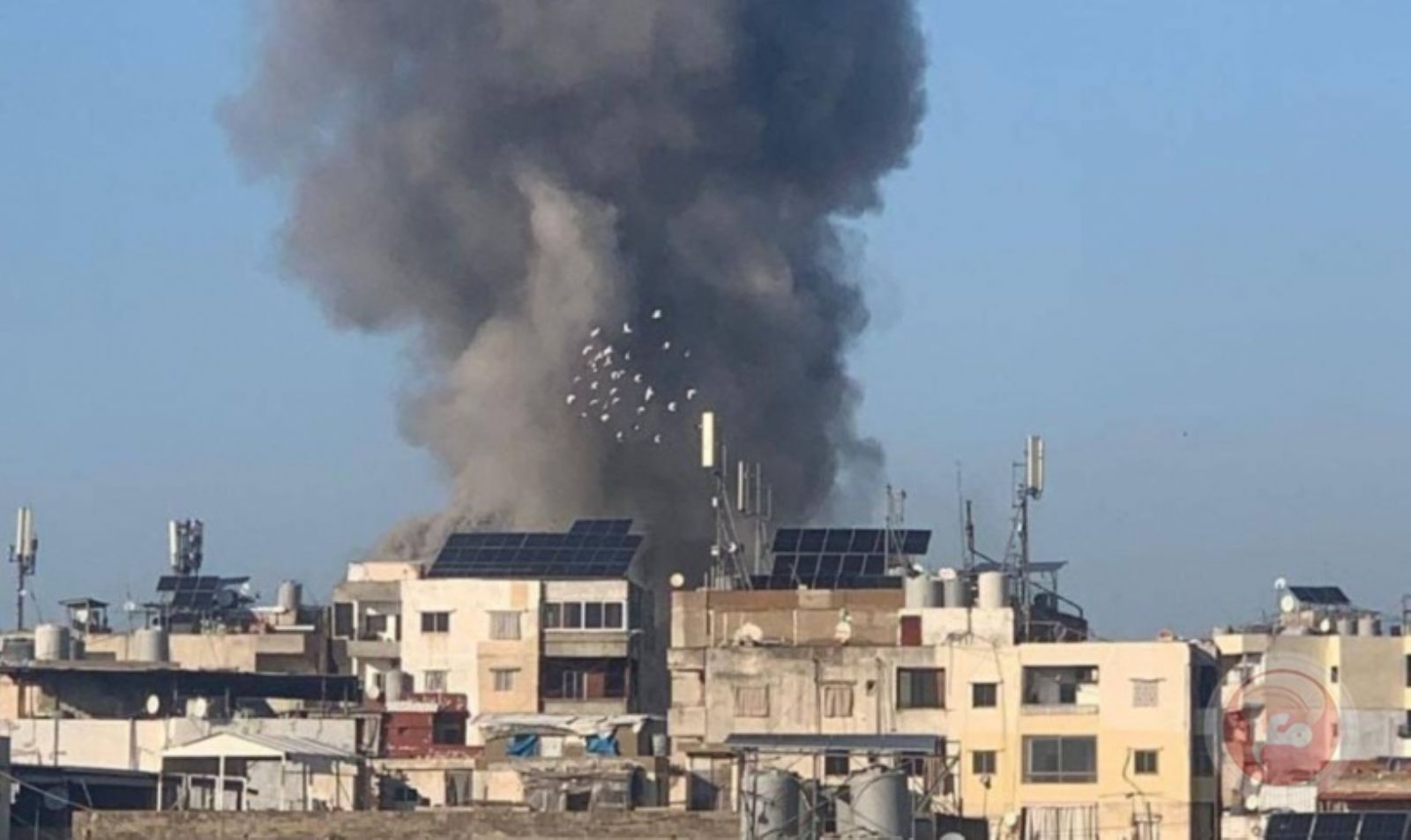 ������ 146 ���� ������: ���� ������� ���� 300 ��� ������ �� ���� �����