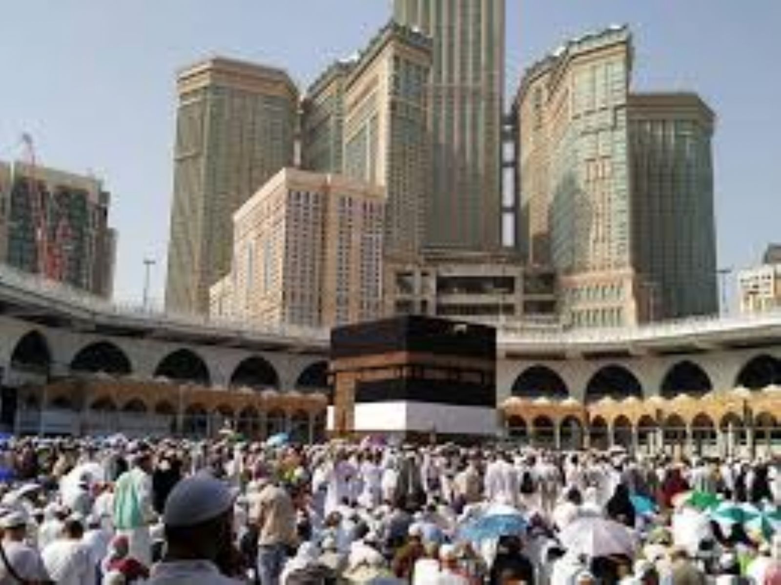 ������ ���� ���� ������ ��� ��� �������