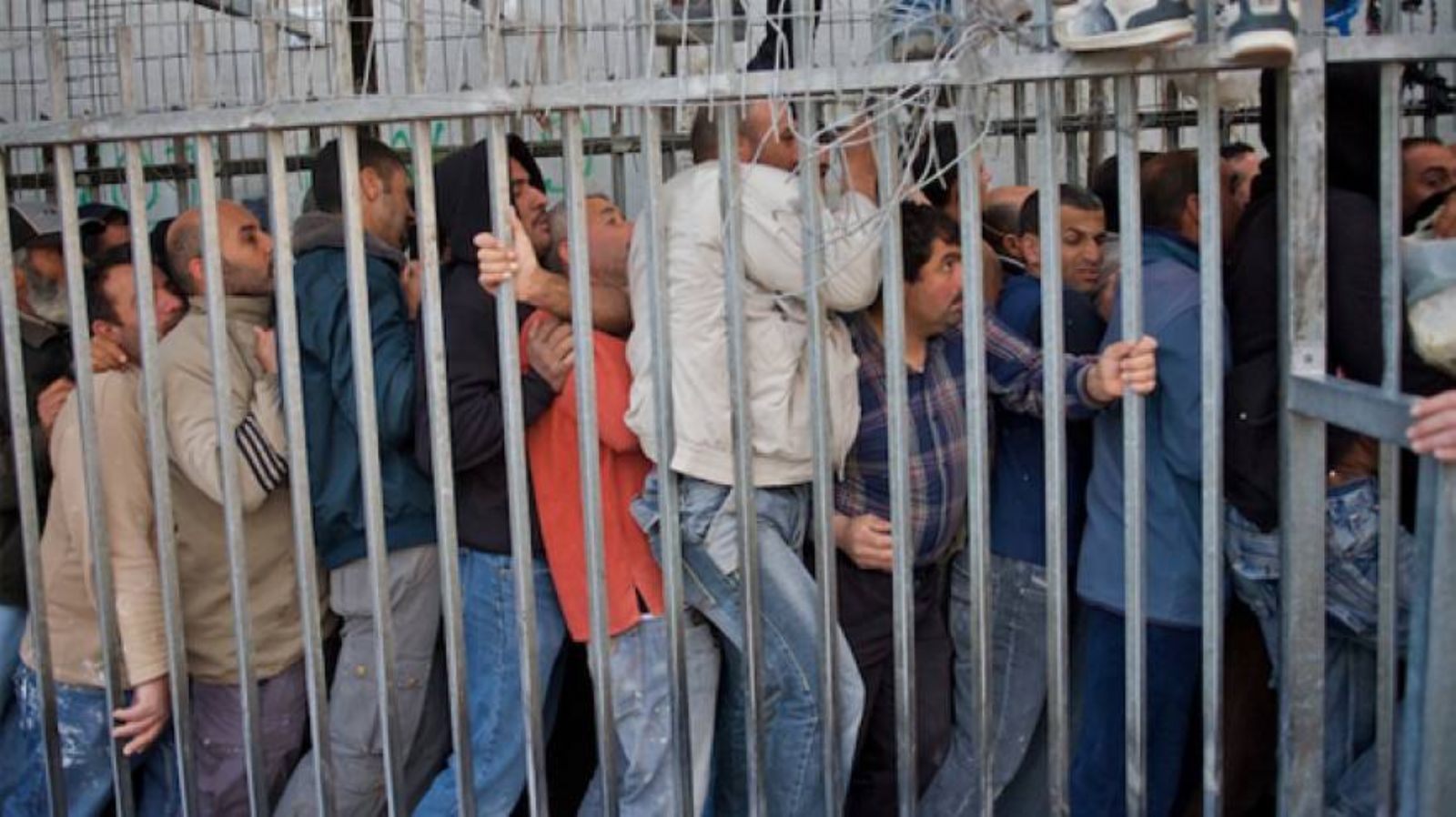 ���� ����� ���� ������ ��� ������