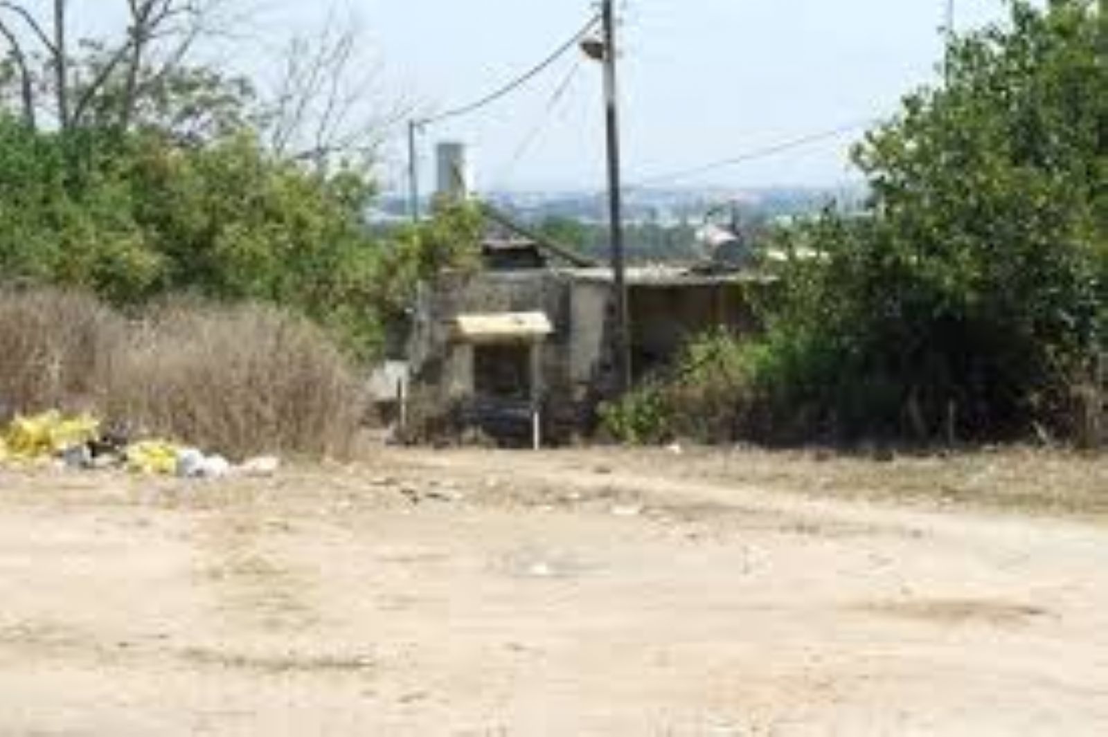 �� ����(����)