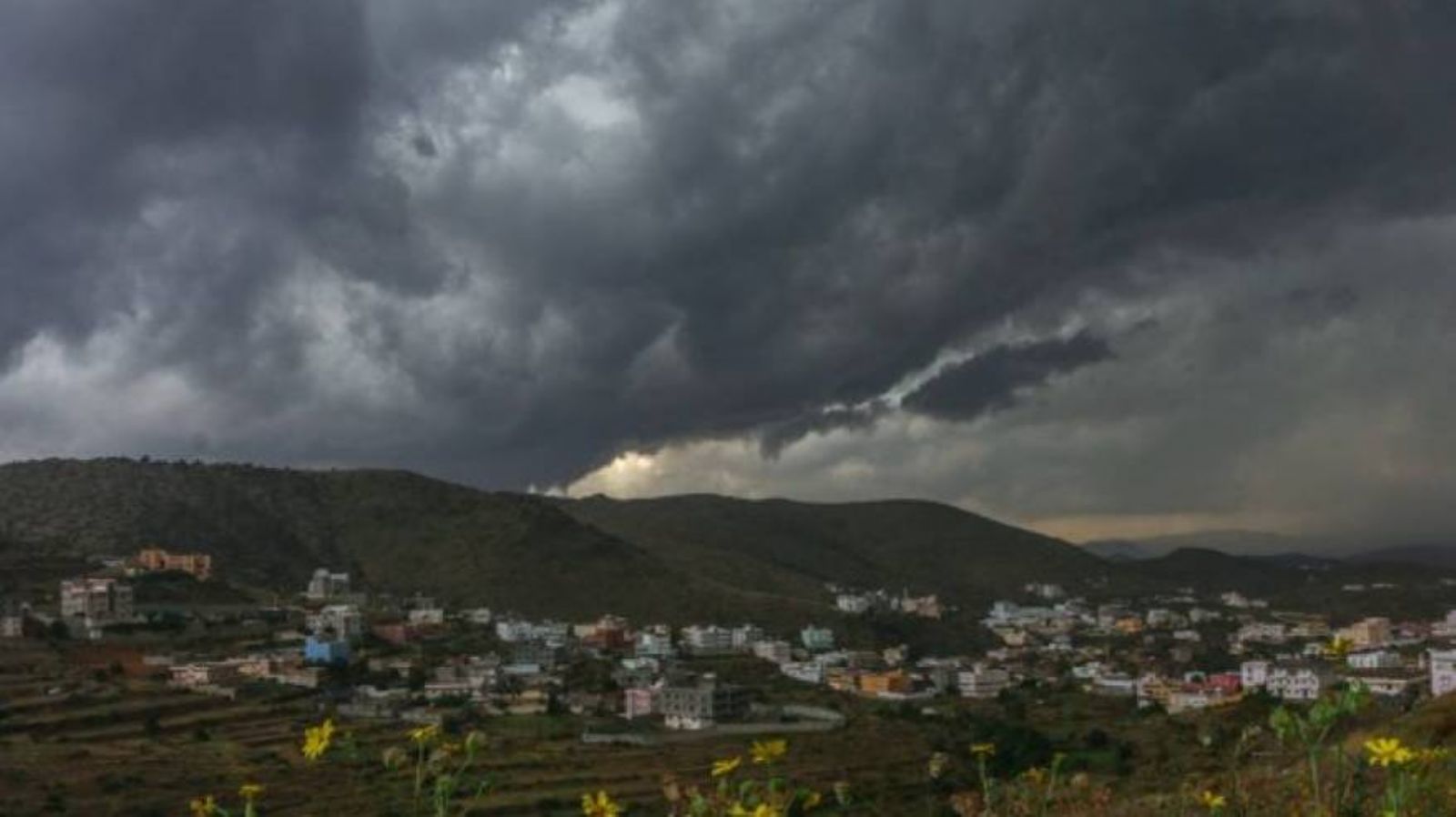 ������ ������ �������� ������ �������