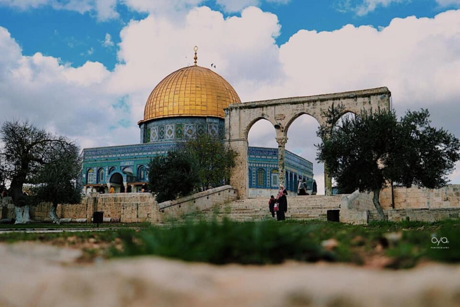 "������� ���� ����� ����� ���� ��� ����� "