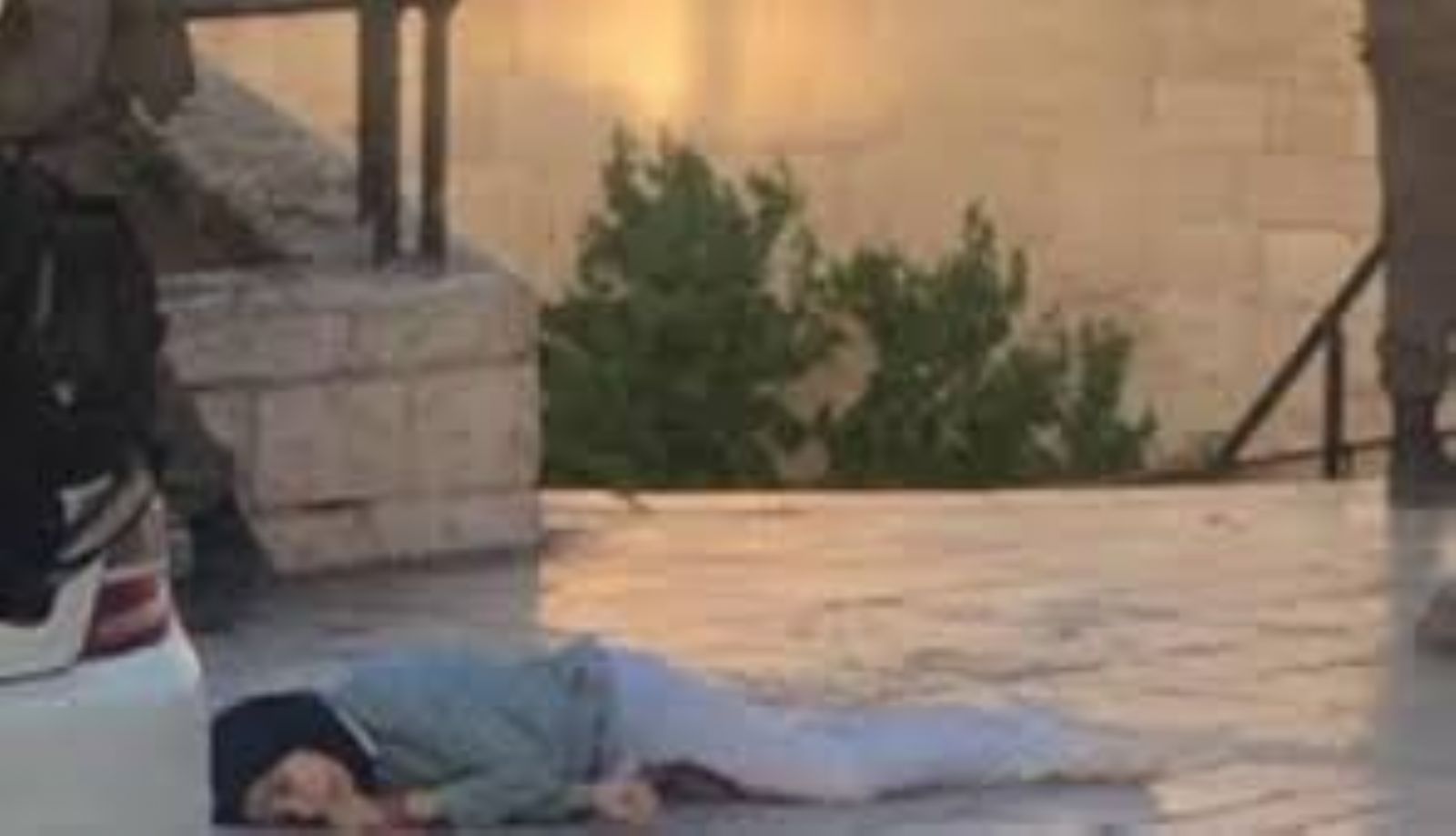 �������� ���� ��� ���� ������ ���� �������� ����� ����� ���