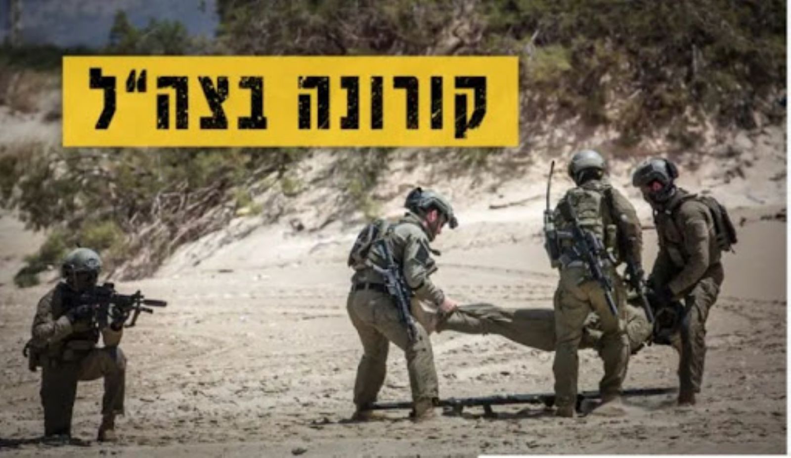 ������� ������: 80 ��� "��������" ������ ����� ����� ��� ����