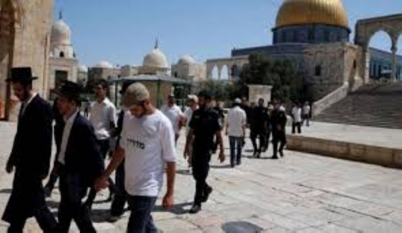 51 ���������� ������� ����� ������ ������